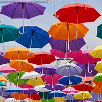 Buy canvas prints of The Enigmatic Umbrella by Andrew Heaps