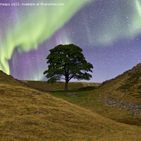 Buy canvas prints of Sycamore gap with Northern lights  by Andrew Heaps