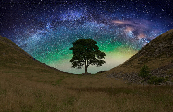  Sycamore gap  on Hadrians Wall Picture Board by Andrew Heaps
