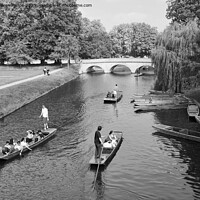 Buy canvas prints of Punting in Cambridge on river on a  summers day  by Andrew Heaps