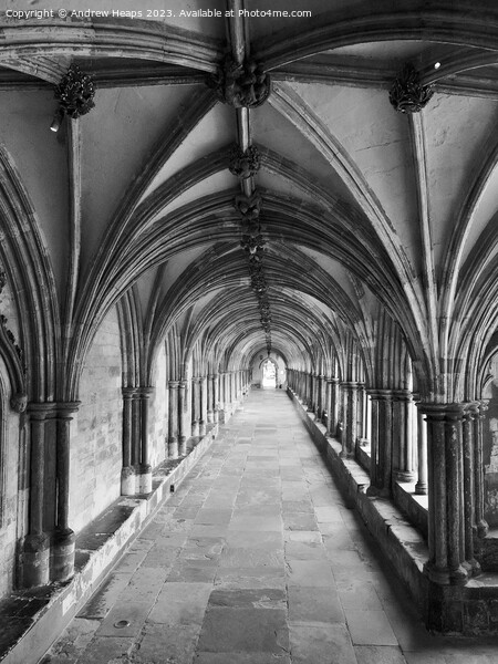 Tunnel in Norwich Cathedral Picture Board by Andrew Heaps