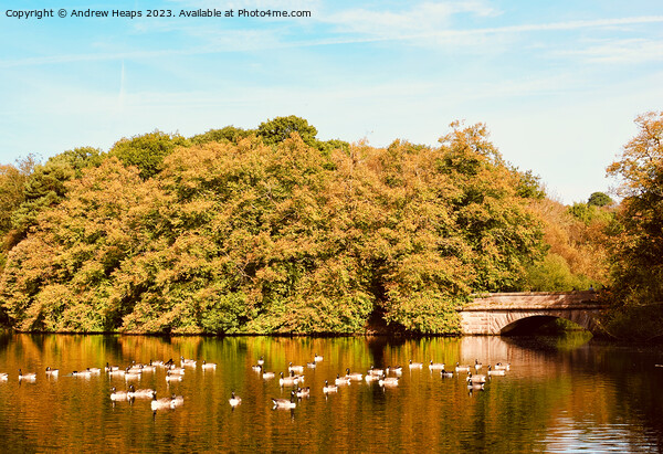 Summer colours at Knypersley pool. Picture Board by Andrew Heaps