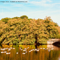Buy canvas prints of Summer colours at Knypersley pool. by Andrew Heaps