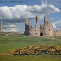 Buy canvas prints of Dunstanburgh Castle ruins in summer sunshine. by Andrew Heaps