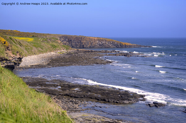 Northumberland rugged coastline. Picture Board by Andrew Heaps