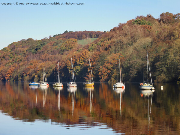 Autumnal colours with wonderful reflections Picture Board by Andrew Heaps