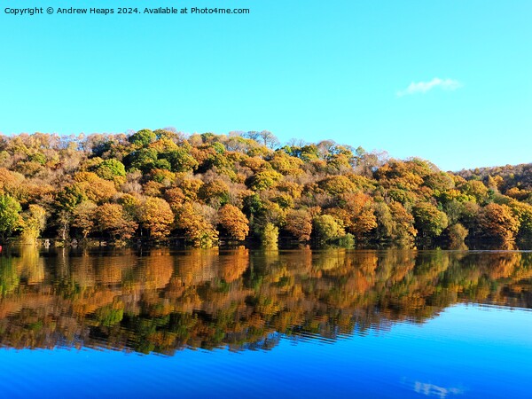 Autumnal colours by Tittersworth reservoir Picture Board by Andrew Heaps