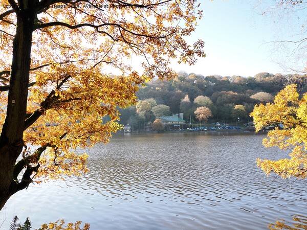 Autumnal day by Rudyard Lake Picture Board by Andrew Heaps