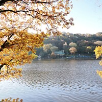 Buy canvas prints of Autumnal day by Rudyard Lake by Andrew Heaps