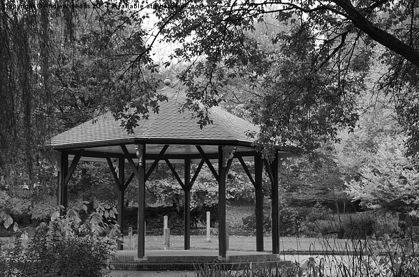  Traditional Park Band Stand Picture Board by Andrew Heaps