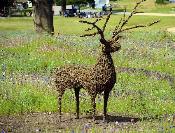 Majestic Cane Deer in Trentham Meadows Picture Board by Andrew Heaps