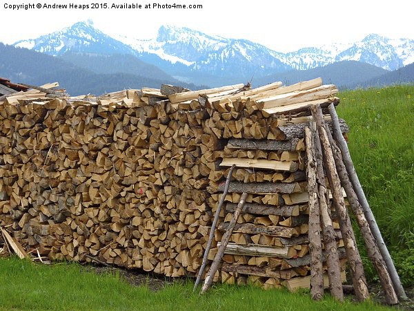  Austrian Wood Pile Picture Board by Andrew Heaps