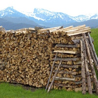 Buy canvas prints of  Austrian Wood Pile by Andrew Heaps