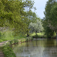 Buy canvas prints of Staffordshire Waterways by Andrew Heaps