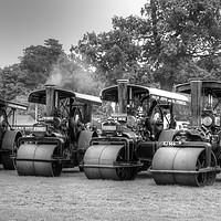 Buy canvas prints of Traction Engines by Andrew Heaps
