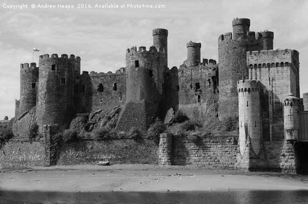 Conwy Castle Picture Board by Andrew Heaps