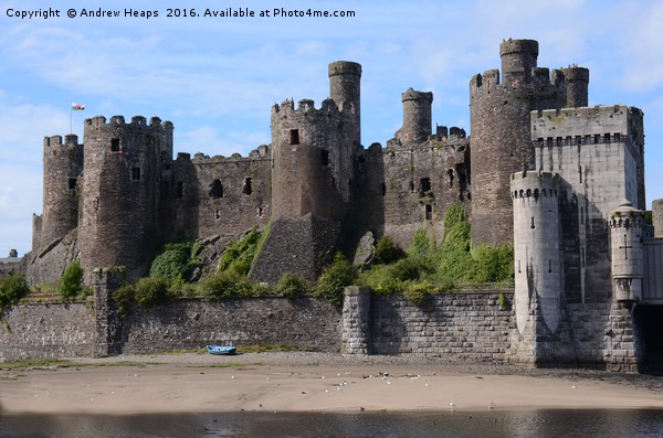 Majestic Conwy Castle Picture Board by Andrew Heaps