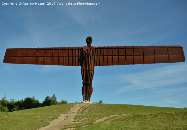  Angel of the North           Picture Board by Andrew Heaps