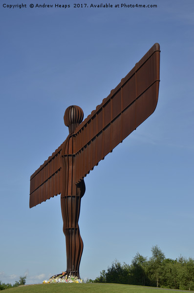 Angel of the north Picture Board by Andrew Heaps