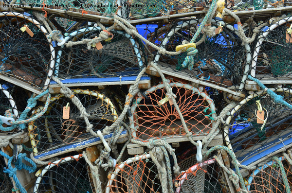 The Rustic Charm of Lobster Baskets Picture Board by Andrew Heaps