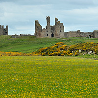 Buy canvas prints of Dunstanburgh Castle by Andrew Heaps