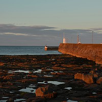 Buy canvas prints of Seahouses harbour sunset song on wall. by Andrew Heaps