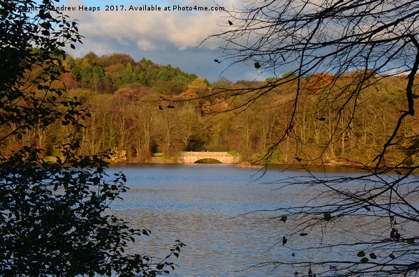 Knypersley Reservoir lake bridge Picture Board by Andrew Heaps