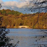 Buy canvas prints of Knypersley Reservoir lake bridge by Andrew Heaps