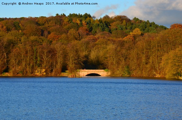 Autumn view of reservoir  lake in Staffordshire Picture Board by Andrew Heaps