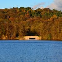 Buy canvas prints of Autumn view of reservoir  lake in Staffordshire by Andrew Heaps