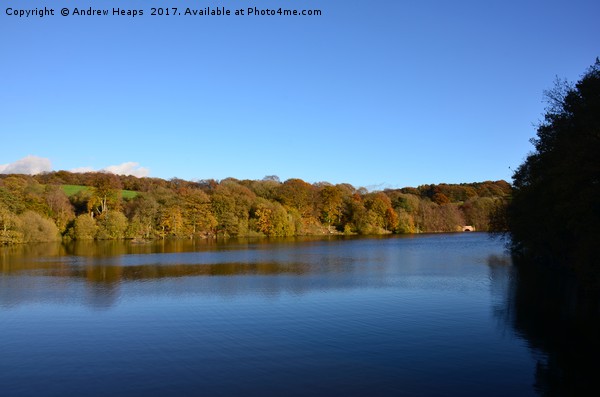 Autumn view of reservoir  lake in Staffordshire  Picture Board by Andrew Heaps