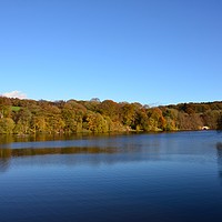 Buy canvas prints of Autumn view of reservoir  lake in Staffordshire  by Andrew Heaps