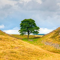 Buy canvas prints of Sycamore Gap (Hadrians wall) by Andrew Heaps