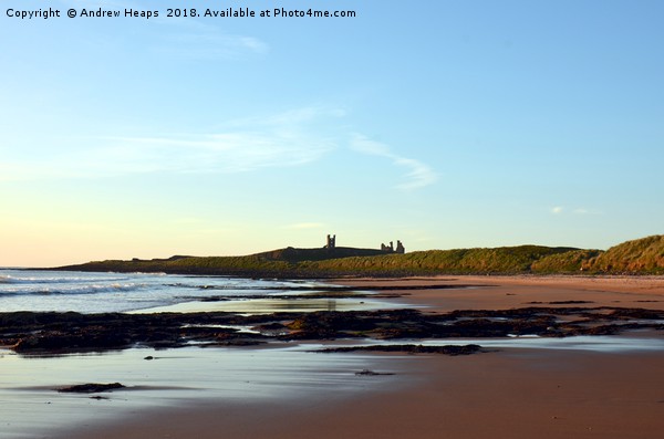 Majestic dawn over Dunstanburgh Castle Picture Board by Andrew Heaps