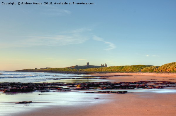 Sunrise looking over Dunstanburgh Castle HDR Picture Board by Andrew Heaps