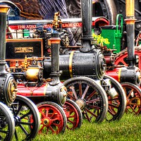 Buy canvas prints of Steam Traction Engines collection by Andrew Heaps