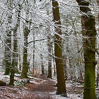Buy canvas prints of Winter scene by Andrew Heaps