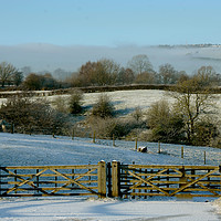Buy canvas prints of Snowy land scape  looking towards Mow cop castle  by Andrew Heaps