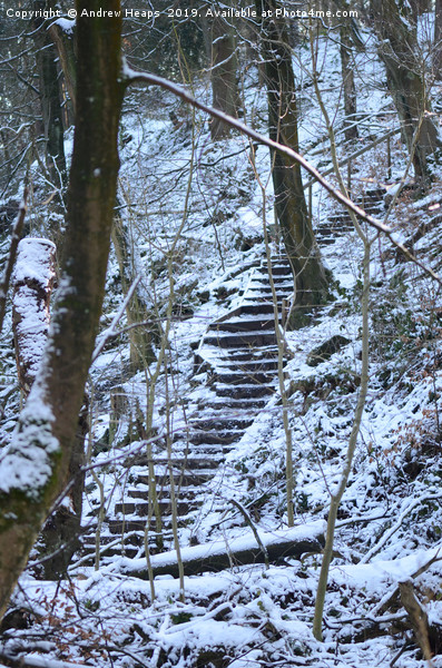 Snowy steps at country park. Picture Board by Andrew Heaps