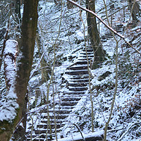 Buy canvas prints of Snowy steps at country park. by Andrew Heaps