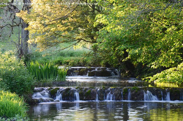 Local weir in Derbyshire countryside Picture Board by Andrew Heaps