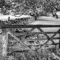 Buy canvas prints of Farmers wooden gate. by Andrew Heaps