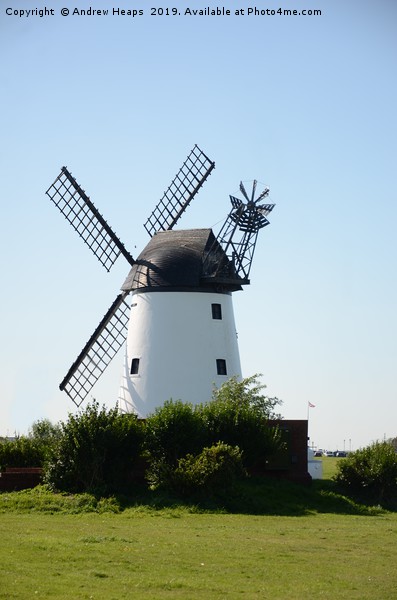Windmill at Lytham on a Sunny Day Picture Board by Andrew Heaps