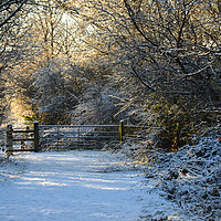 Buy canvas prints of Snowy winter scene  by Andrew Heaps