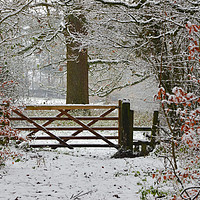 Buy canvas prints of Winterly scene with snowy gate and style. by Andrew Heaps