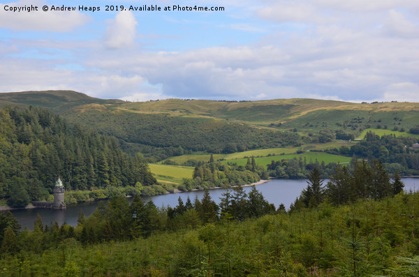 Lake Vyrnwy in Powys Wales Picture Board by Andrew Heaps
