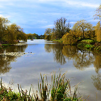 Buy canvas prints of Reflections from river bank side   by Andrew Heaps
