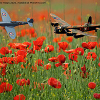 Buy canvas prints of Spitfire and Lancaster bomber fly by over poppy fi by Andrew Heaps