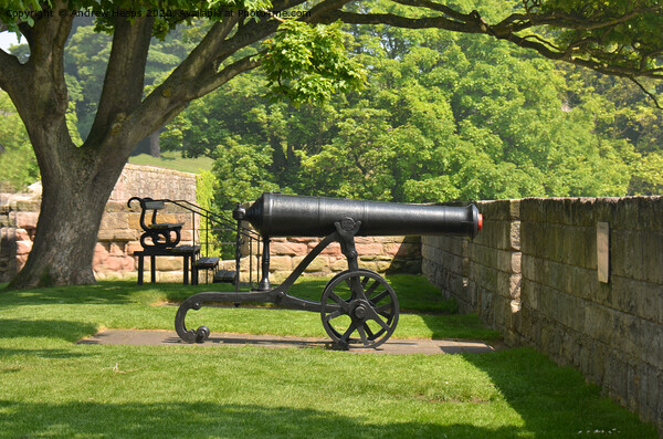 Historic cannon on coastline in Berwick  Picture Board by Andrew Heaps