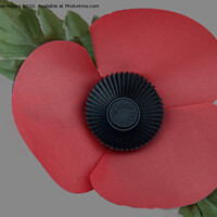 Buy canvas prints of A single poppy a symbol of remembrance .  by Andrew Heaps